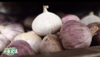 从大蒜到黑蒜 金乡致富的金蒜盘
