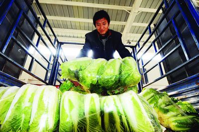 运输鲜活农产品昨起享绿色通道，公路通行费全免