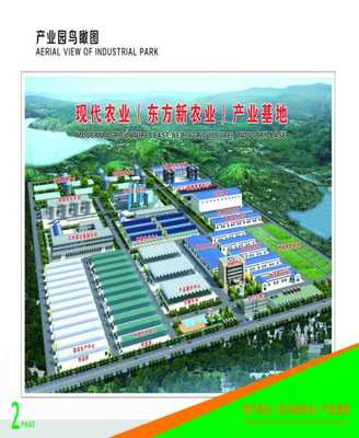 辽宁农产品 黑土地上的绿色宝藏与无限商机