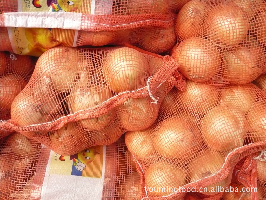 甘肃洋葱市场探析 2012年保鲜洋葱的价格、产地与品种特点
