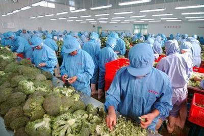 农产品初加工企业免企业所得税政策解读