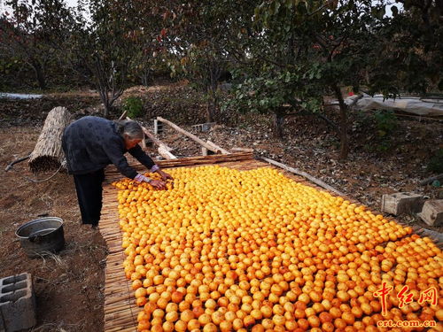 沂蒙老区旅游扶贫结硕果,农产品变身旅游商品