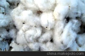 湖南省临湘市特色农产品产销专业合作社 优质棉花采摘与产业价值探索